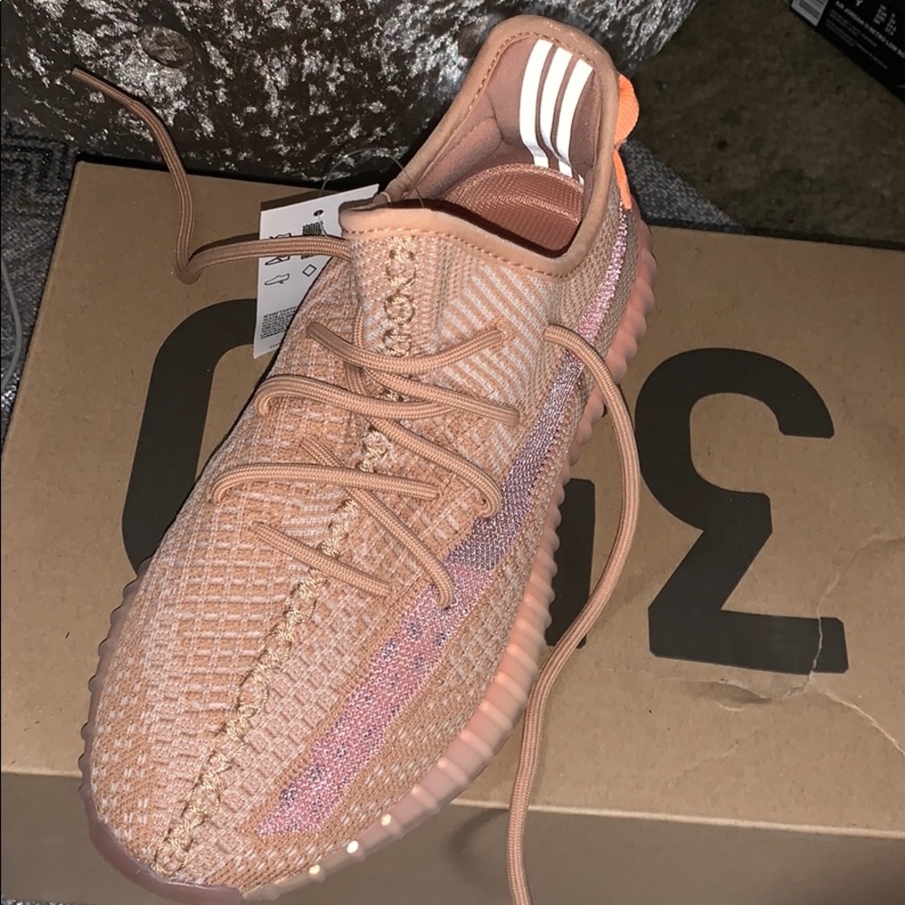 Yezzy - Picture 5 of 5